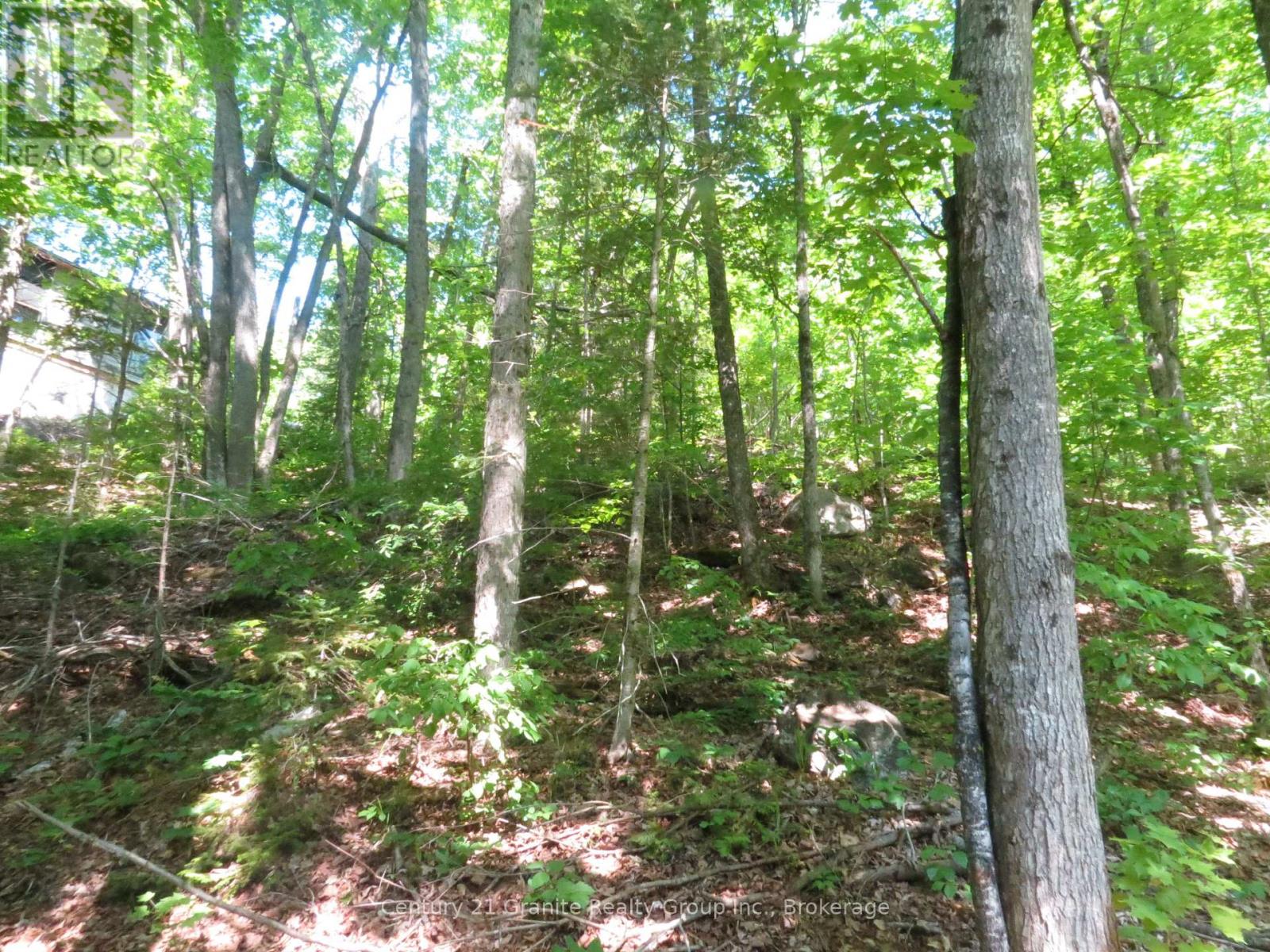 0 Fire Route 330 Route, Trent Lakes, Ontario  K0M 1R0 - Photo 2 - X13430698