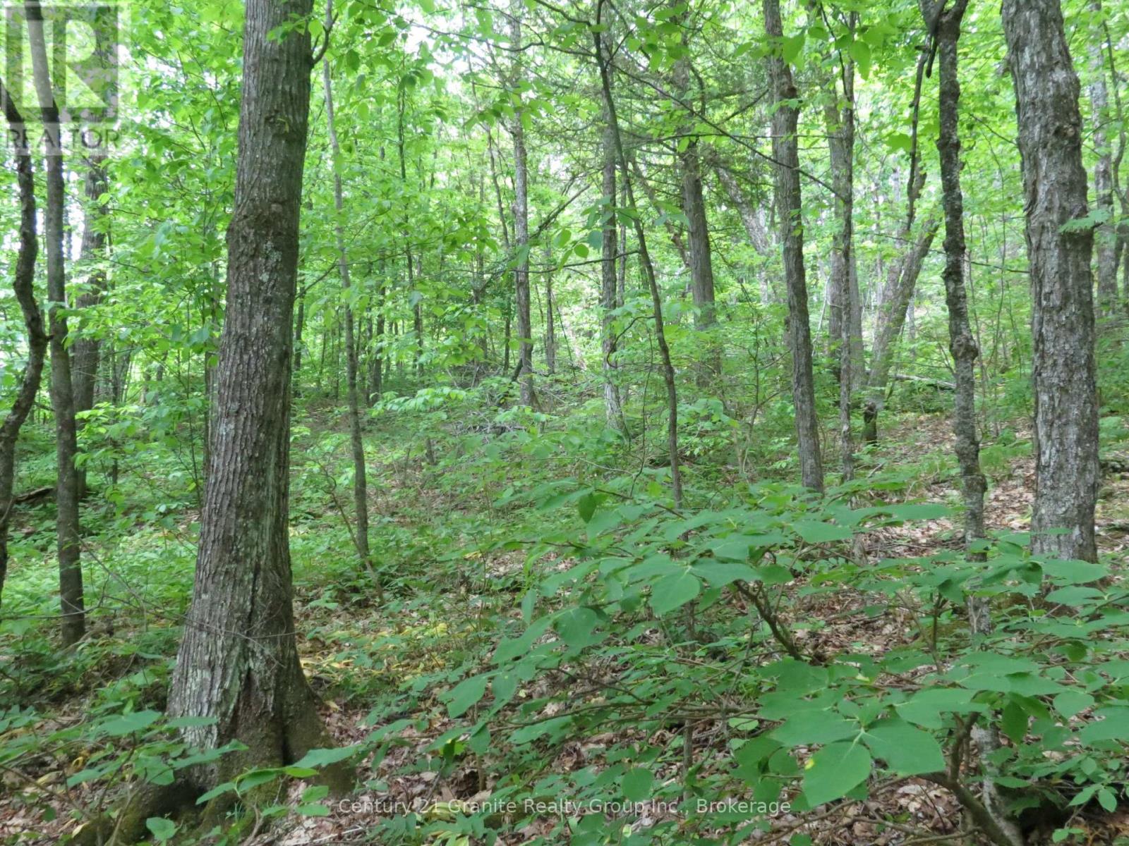 0 Fire Route 330 Route, Trent Lakes, Ontario  K0M 1R0 - Photo 4 - X13430698