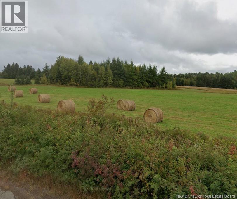 27 Acres Bass River Road, Bass River, New Brunswick  E4T 1C3 - Photo 4 - NB141692