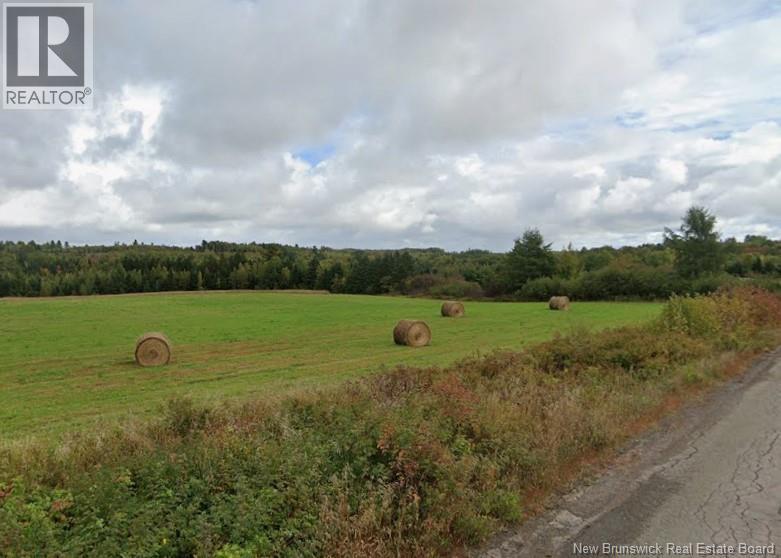 27 Acres Bass River Road, Bass River, New Brunswick  E4T 1C3 - Photo 5 - NB141692