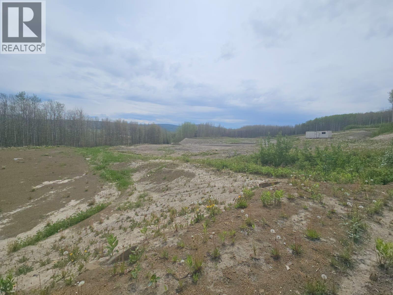 3875 Jackfish Lake Road, Chetwynd, British Columbia  V0C 1J0 - Photo 11 - 10390389