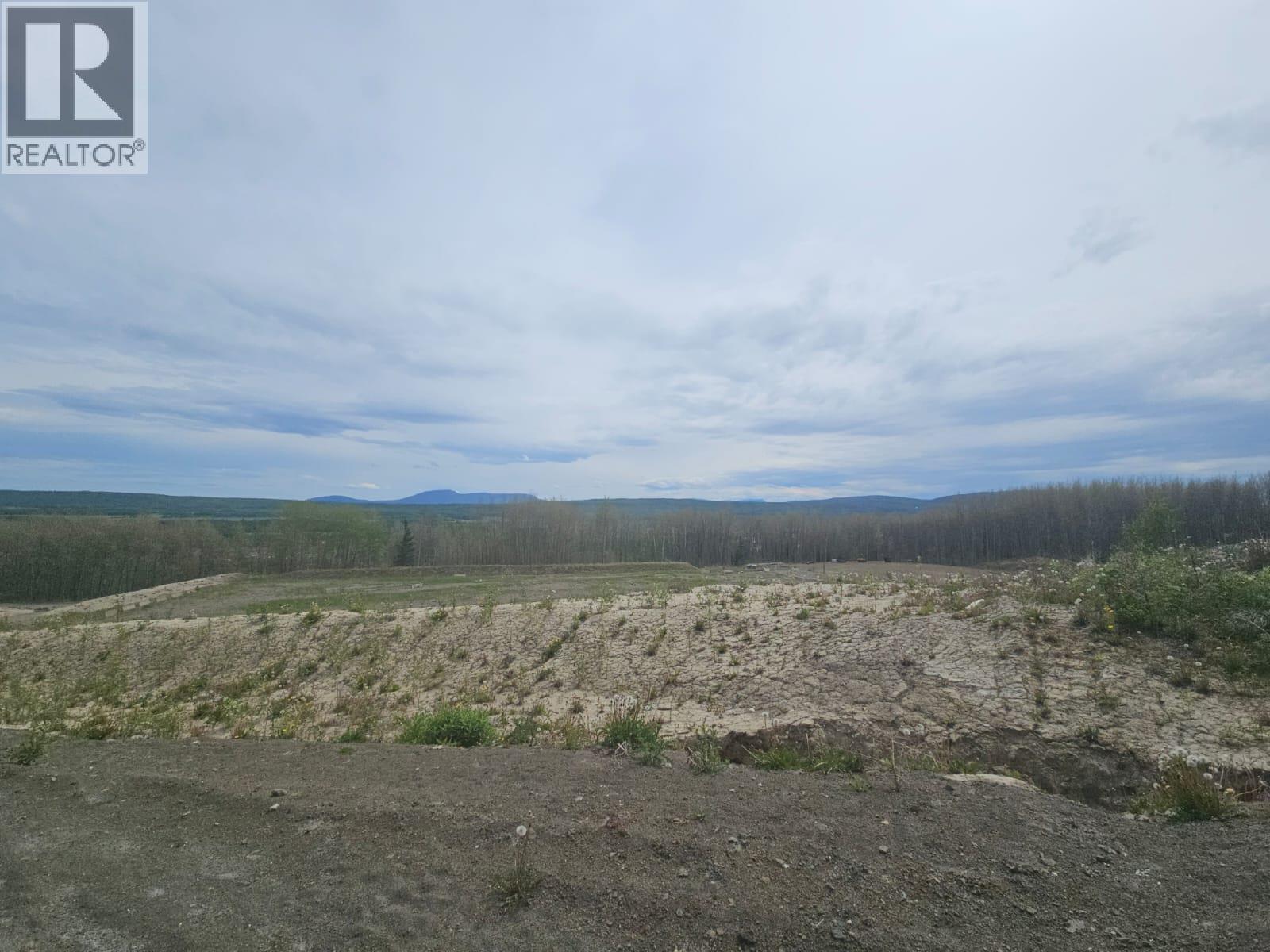 3875 Jackfish Lake Road, Chetwynd, British Columbia  V0C 1J0 - Photo 10 - 10390389