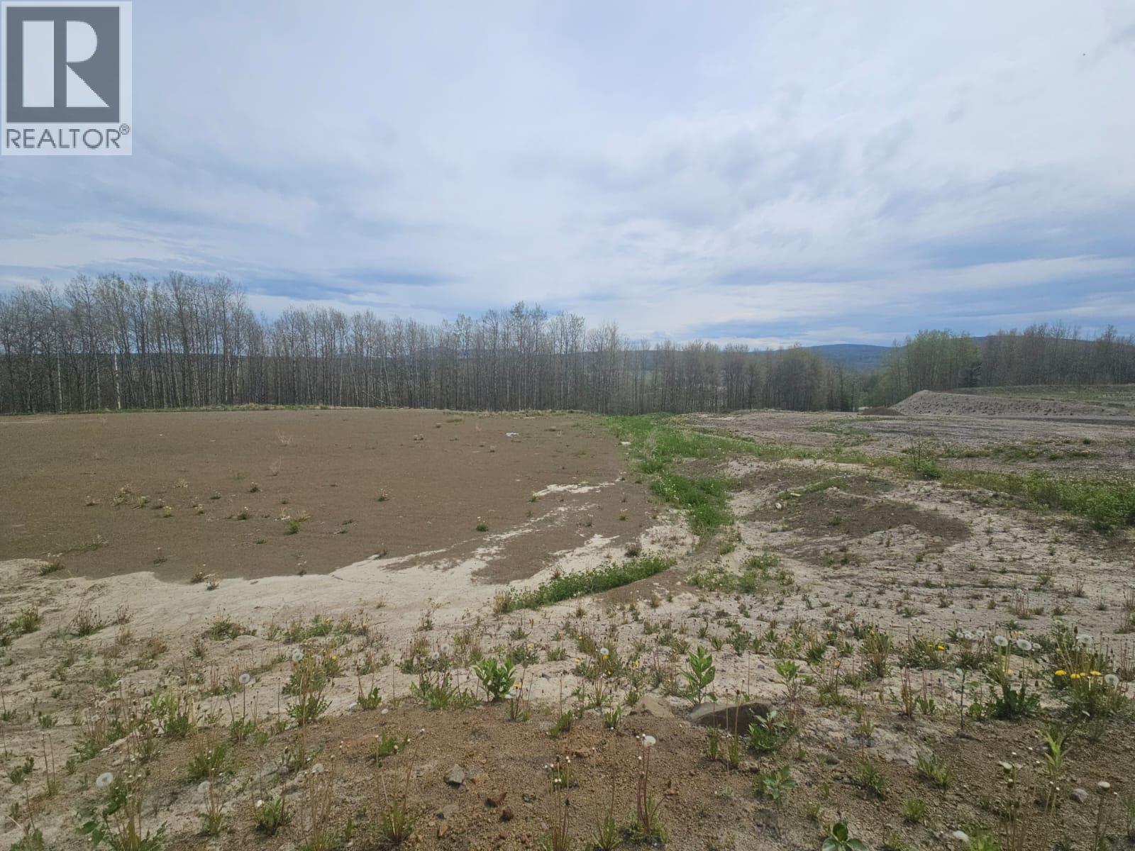3875 Jackfish Lake Road, Chetwynd, British Columbia  V0C 1J0 - Photo 7 - 10390389