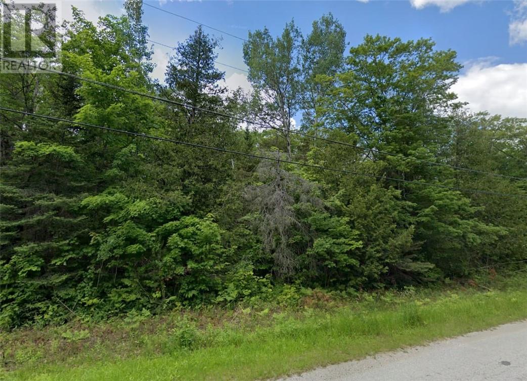 0 Perivale Road E, Manitoulin Island, Ontario P0P 2B0 - Photo 4 - 2128364