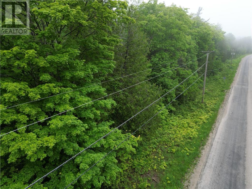 0 Perivale Road E, Manitoulin Island, Ontario P0P 2B0 - Photo 6 - 2128364