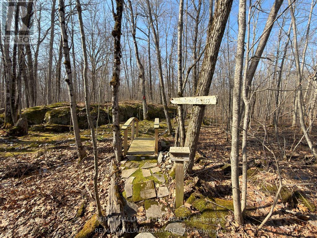 137 Pickerel Point Road, Georgian Bay, Ontario  L0K 1S0 - Photo 39 - X13431032