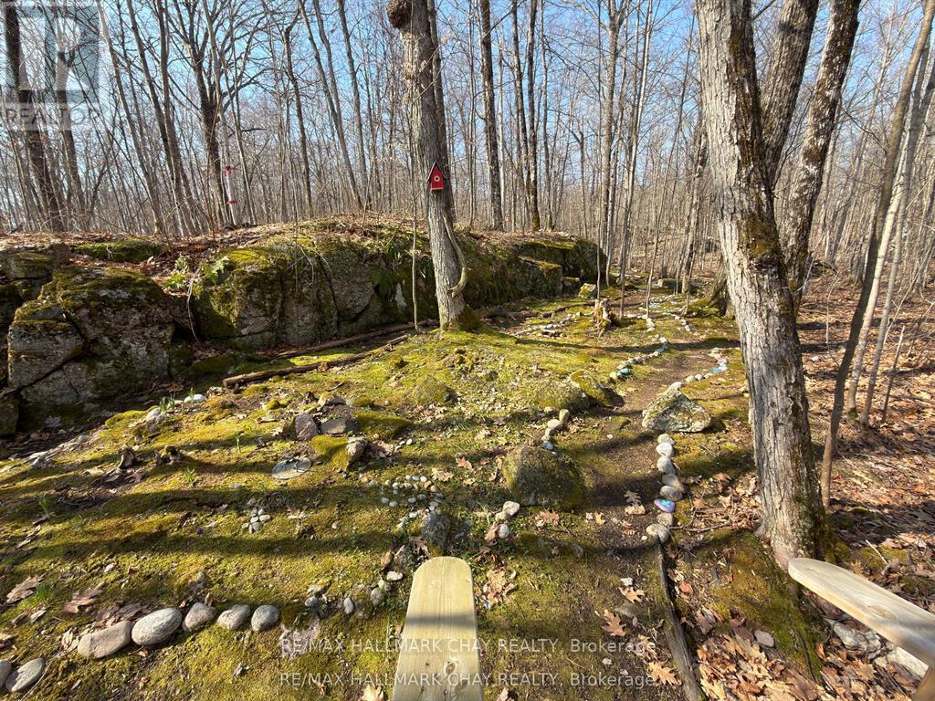 137 Pickerel Point Road, Georgian Bay, Ontario  L0K 1S0 - Photo 41 - X13431032