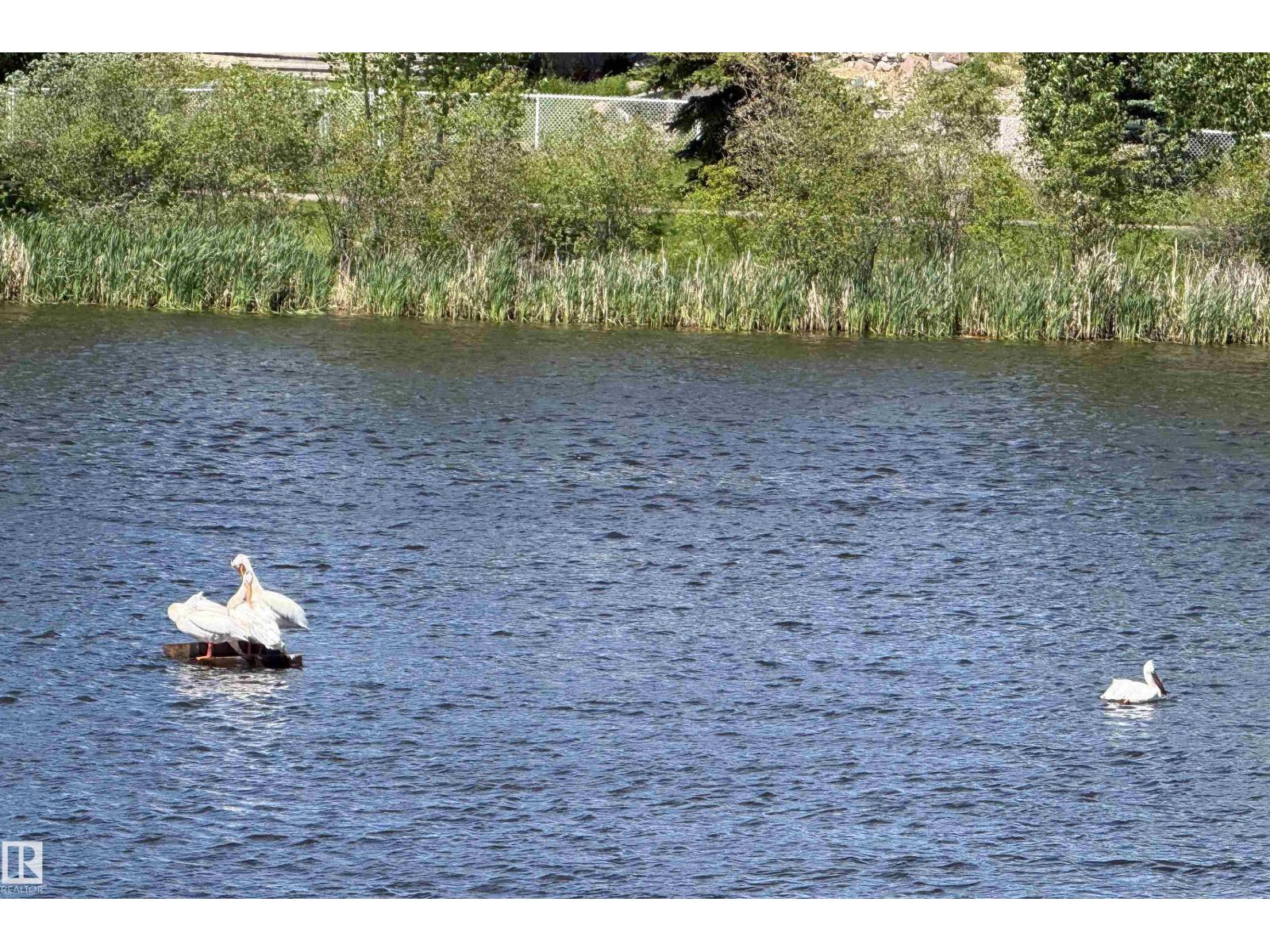 468 Klarvatten Lake Wd Nw Nw, Edmonton, Alberta  T5Z 3C2 - Photo 14 - E4492941