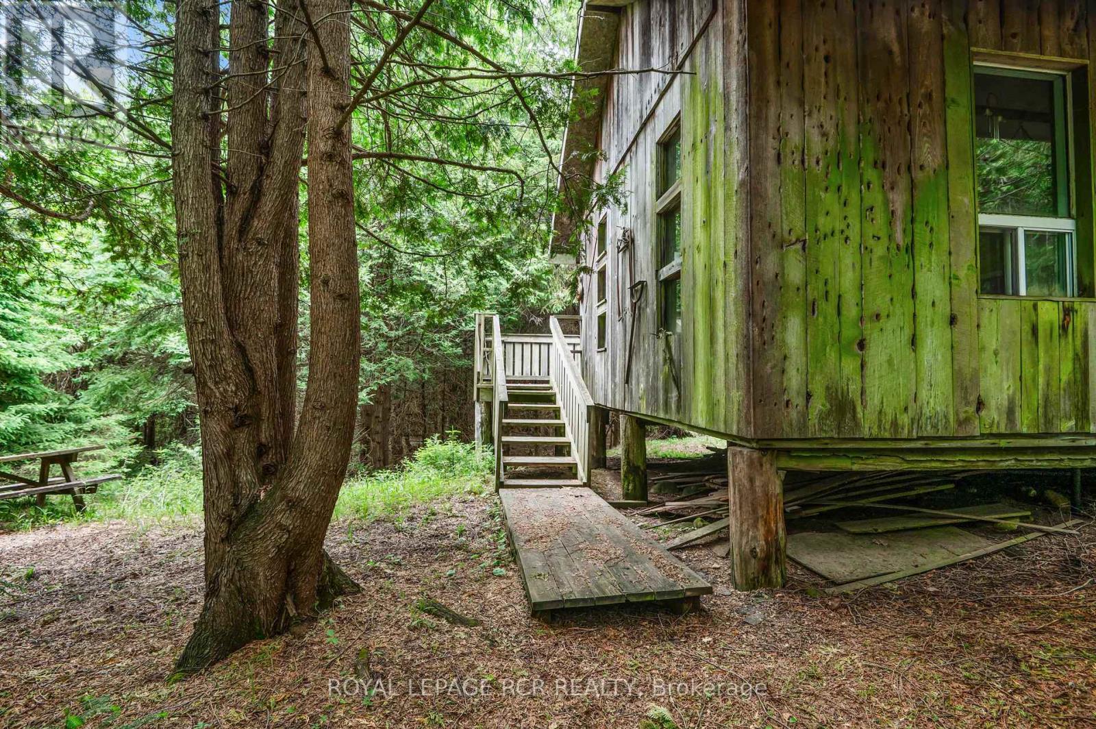 773367 10 Highway, Grey Highlands, Ontario  N0C 1L0 - Photo 34 - X12919486