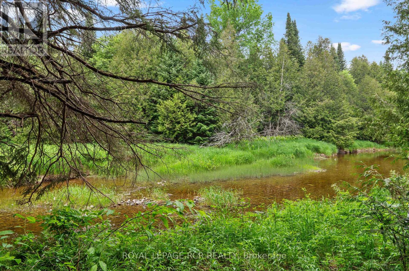 773367 10 Highway, Grey Highlands, Ontario  N0C 1L0 - Photo 41 - X12919486