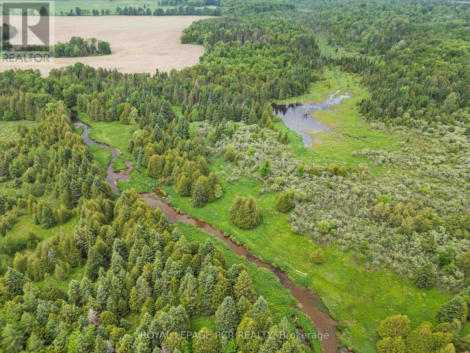 773367 10 Highway, Grey Highlands, Ontario  N0C 1L0 - Photo 42 - X12919486