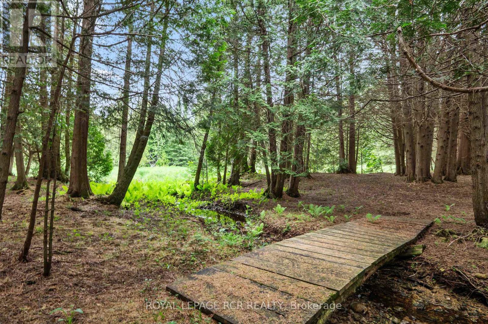 773367 10 Highway, Grey Highlands, Ontario  N0C 1L0 - Photo 40 - X12919486
