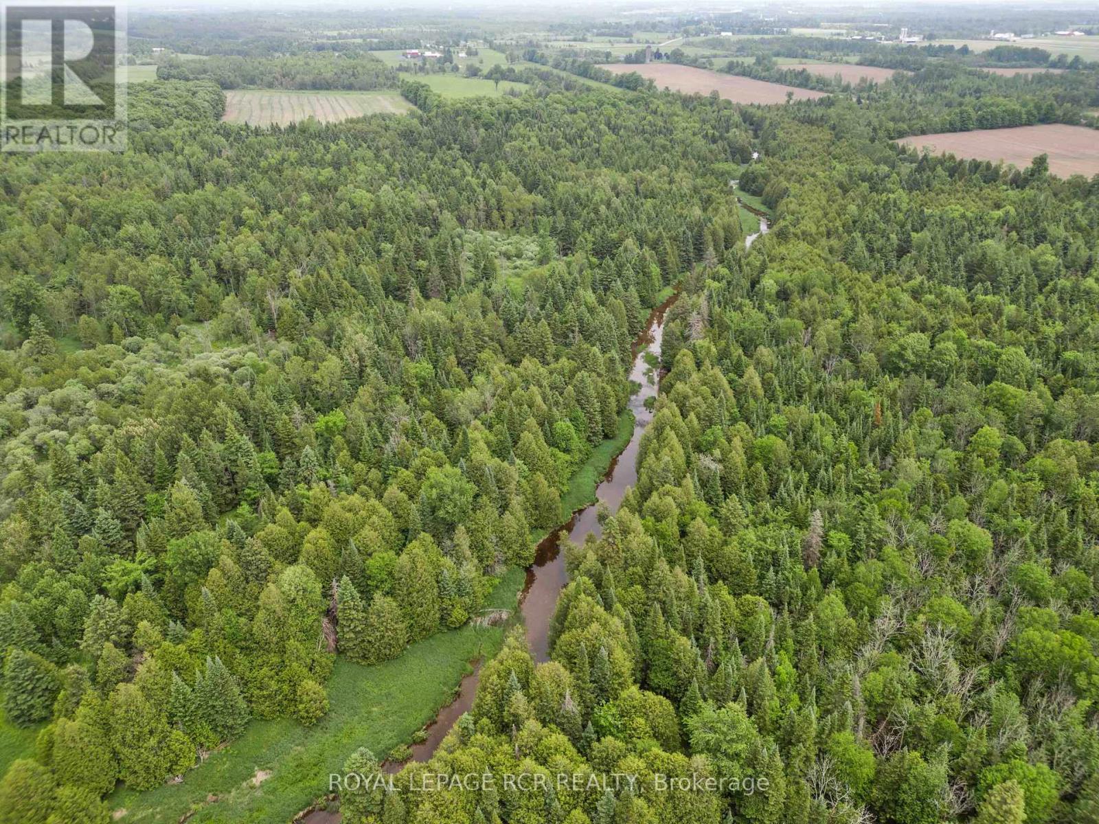 773367 10 Highway, Grey Highlands, Ontario  N0C 1L0 - Photo 44 - X12919486