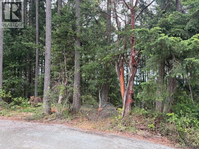 293 Adderly Rd, Nanaimo, British Columbia  V9R 5Z5 - Photo 3 - 1039783