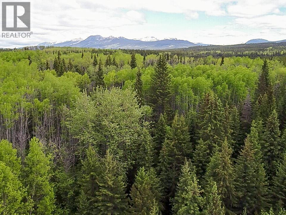 16575 Deception Lake Forest Service Road, Telkwa, British Columbia  V0J 2X2 - Photo 30 - R3132696