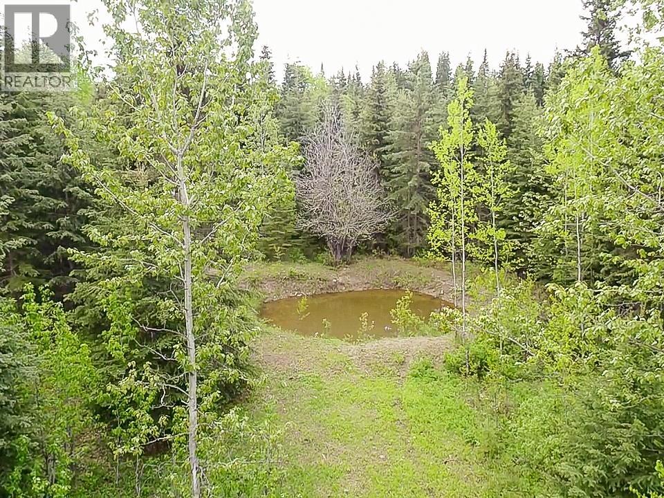 16575 Deception Lake Forest Service Road, Telkwa, British Columbia  V0J 2X2 - Photo 25 - R3132696