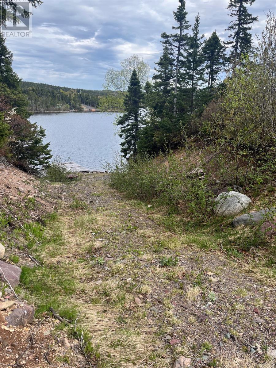 20 West Main Road, Princeton Big Pond, Newfoundland & Labrador - Photo 10 - 1296894