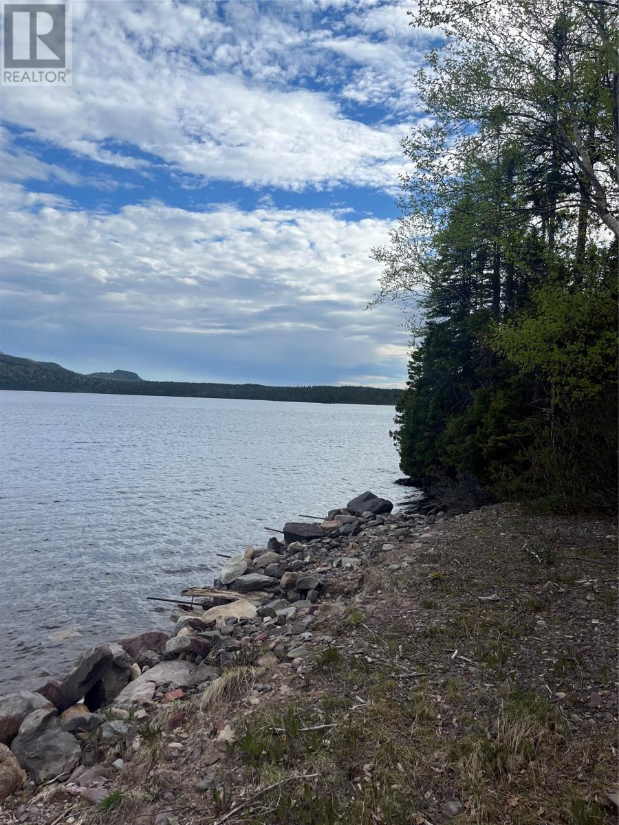 20 West Main Road, Princeton Big Pond, Newfoundland & Labrador - Photo 8 - 1296894