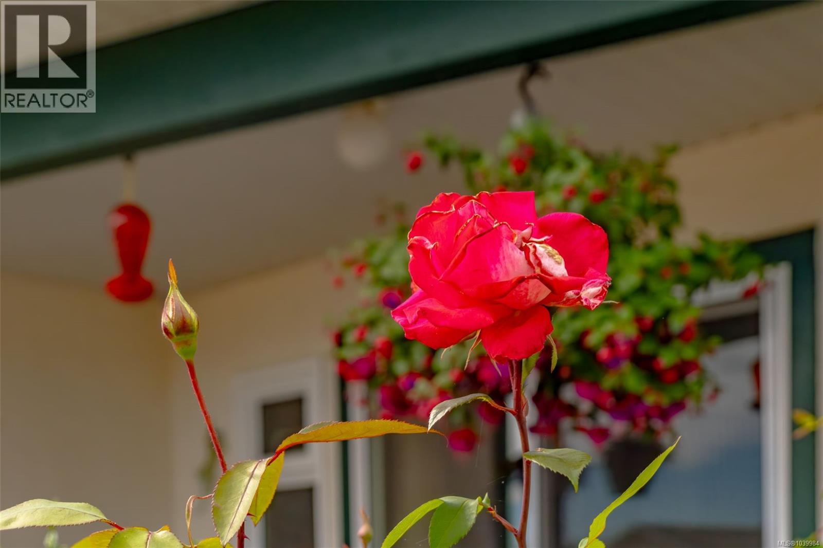 185 Bowlsby St, Nanaimo, British Columbia V9R 5K1 - Photo 35 - 1039984
