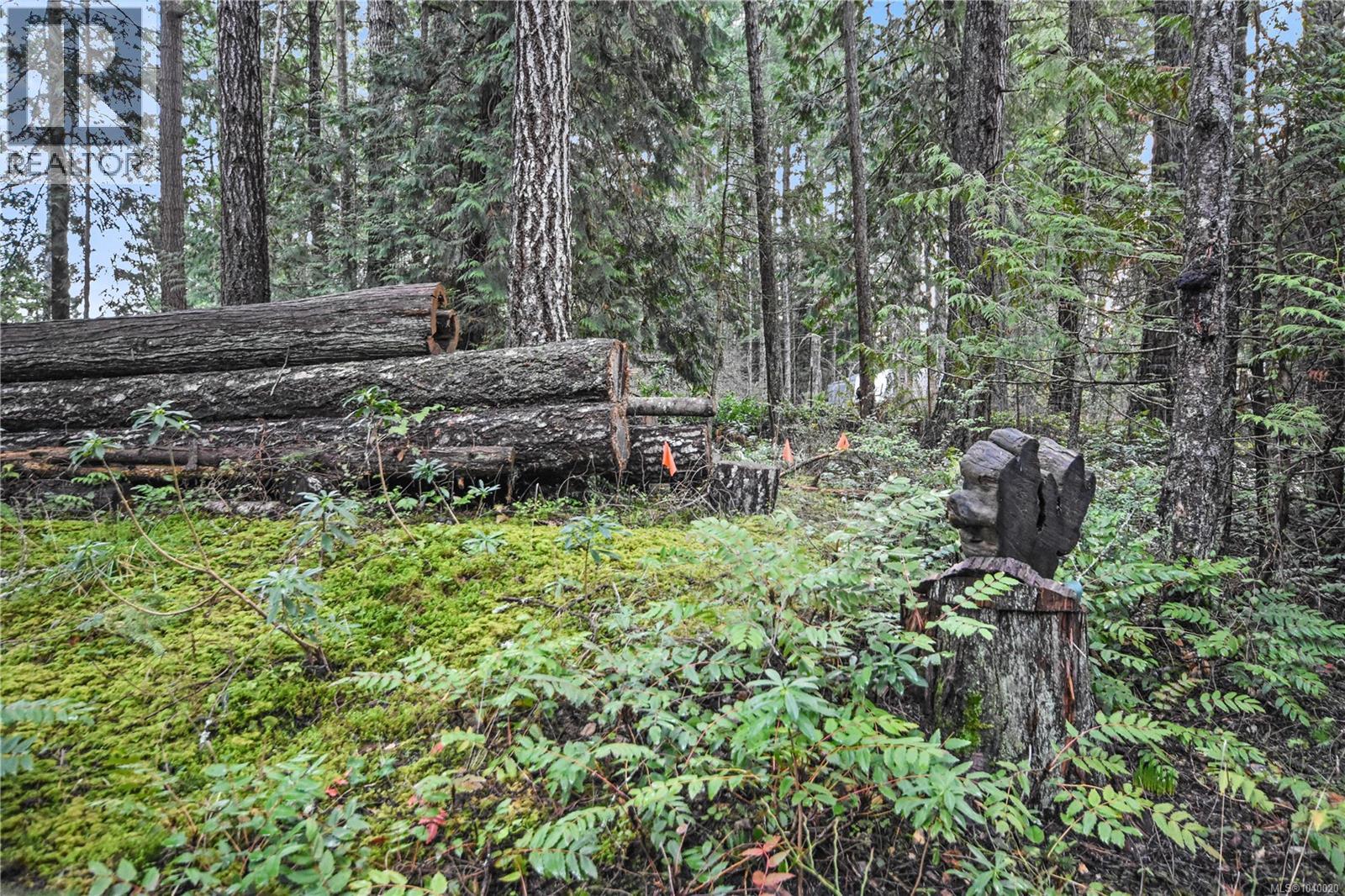 Lt 25 Jeanette Ave, Gabriola Island, British Columbia V0R 1X3 - Photo 29 - 1040020