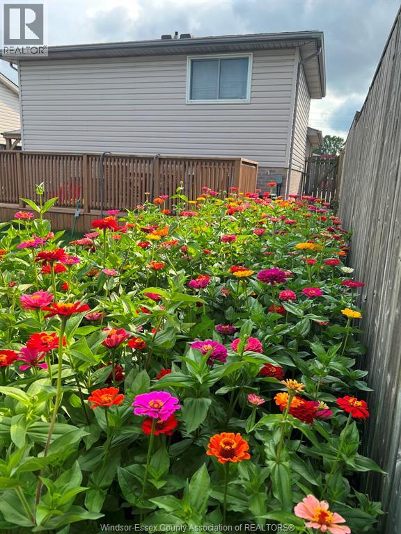 3994 Acorn Crescent, Windsor, Ontario  N8W 5R2 - Photo 35 - 26013819