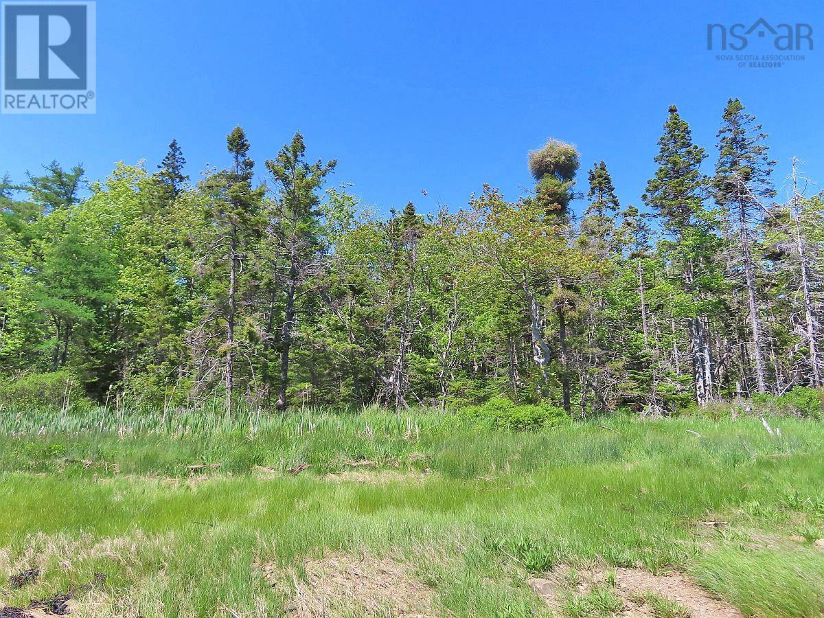 Lot 14 Perry Lane, Lennox Passage, Nova Scotia  B0E 1K0 - Photo 15 - 202614094