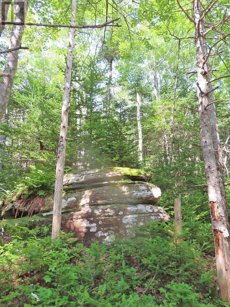 Lot 14 Perry Lane, Lennox Passage, Nova Scotia  B0E 1K0 - Photo 19 - 202614094