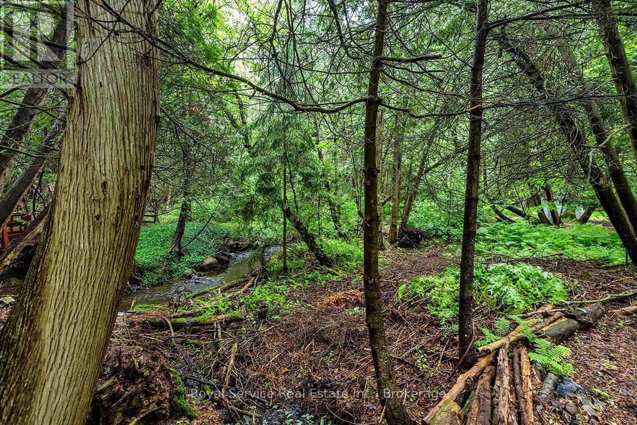 5147 Patterson Road, Clarington, Ontario  L0B 1M0 - Photo 35 - E13432586