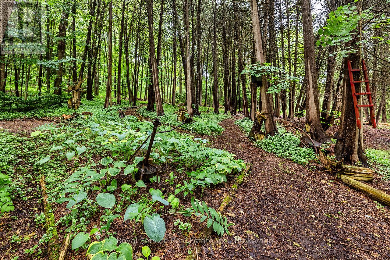 5147 Patterson Road, Clarington, Ontario  L0B 1M0 - Photo 49 - E13432586