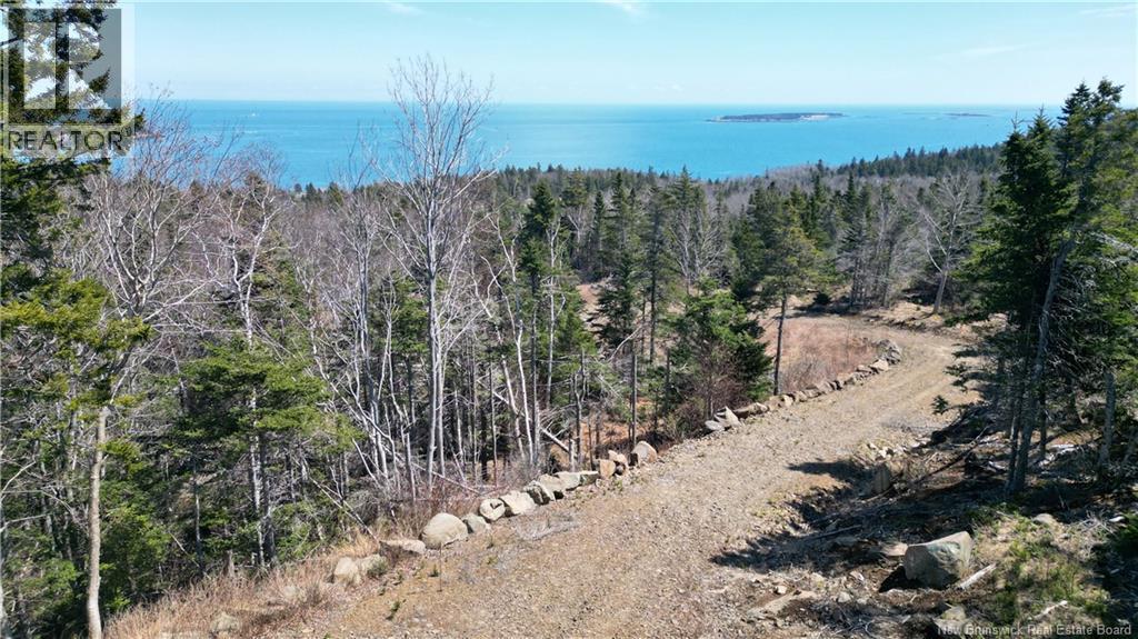 Lot 15-04 Ohio Pond Road, Grand Manan, New Brunswick  E5G 4B4 - Photo 3 - NB141726