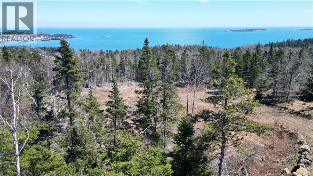 Lot 15-04 Ohio Pond Road, Grand Manan, New Brunswick  E5G 4B4 - Photo 6 - NB141726