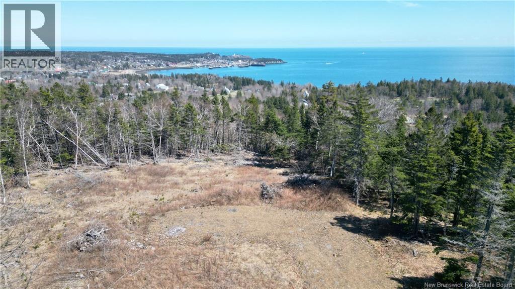 Lot 15-04 Ohio Pond Road, Grand Manan, New Brunswick  E5G 4B4 - Photo 2 - NB141726