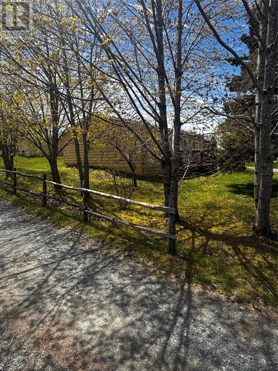 211-213 Country Road, Bay Roberts, Newfoundland & Labrador  A0A 3V0 - Photo 3 - 1298757