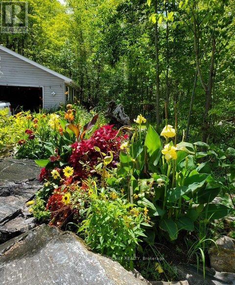 137 Pickerel Point Road, Georgian Bay, Ontario L0K 1S0 - Photo 35 - X13431032