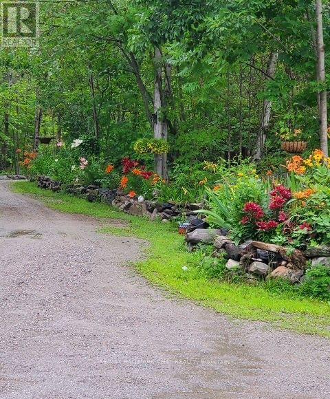 137 Pickerel Point Road, Georgian Bay, Ontario L0K 1S0 - Photo 36 - X13431032