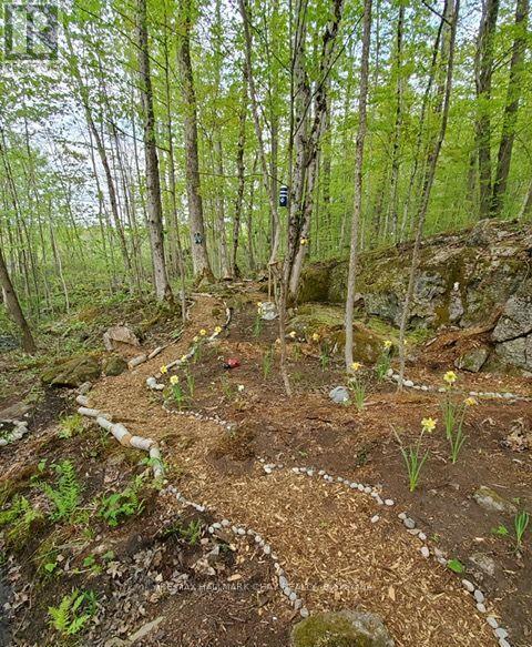137 Pickerel Point Road, Georgian Bay, Ontario L0K 1S0 - Photo 39 - X13431032