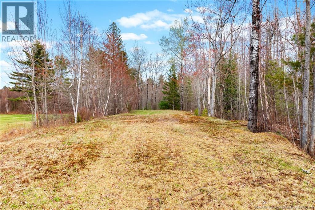 Lot Pleasant Drive, Minto, New Brunswick  E4B 3W1 - Photo 5 - NB141731