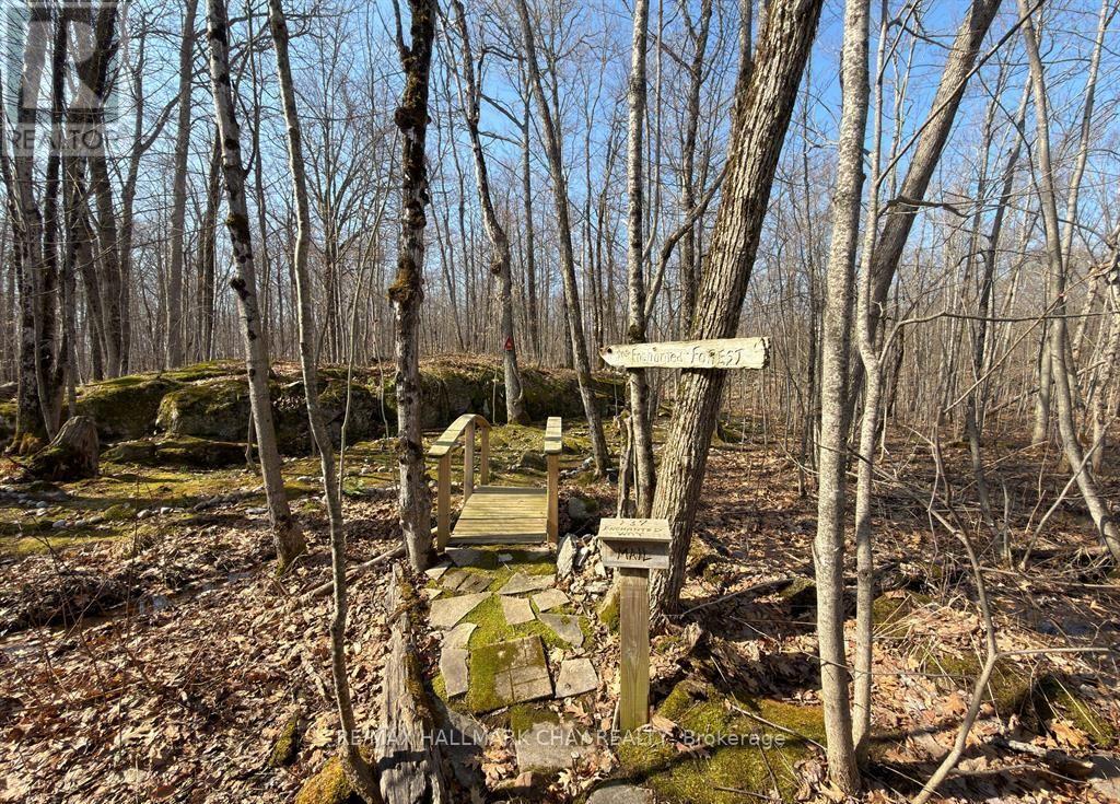 137 Pickerel Point Road, Georgian Bay, Ontario  L0K 1S0 - Photo 39 - X13431032