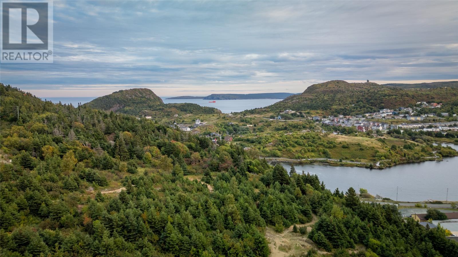 45 East White Hills Road, St. John's, Newfoundland & Labrador A1A 5X7 - Photo 6 - 1298856