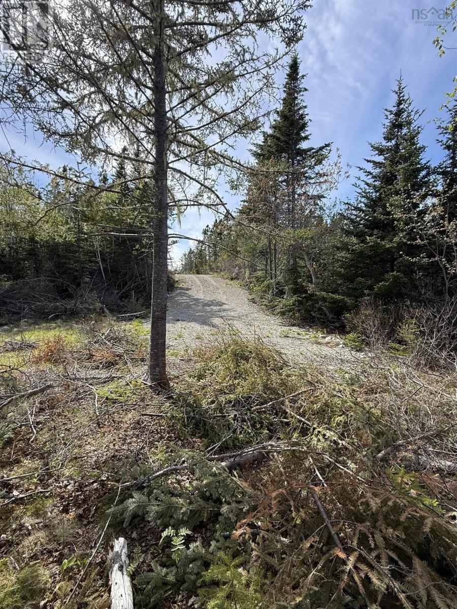 5-C Pleasant Point Road, Lockeport, Nova Scotia  B0T 1W0 - Photo 17 - 202614107