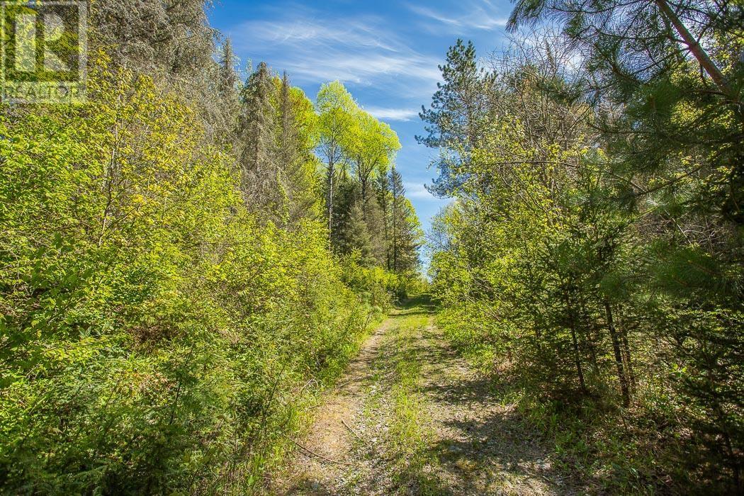1416 Highway 532, Searchmont, Ontario  P0S 1J0 - Photo 14 - SM261416
