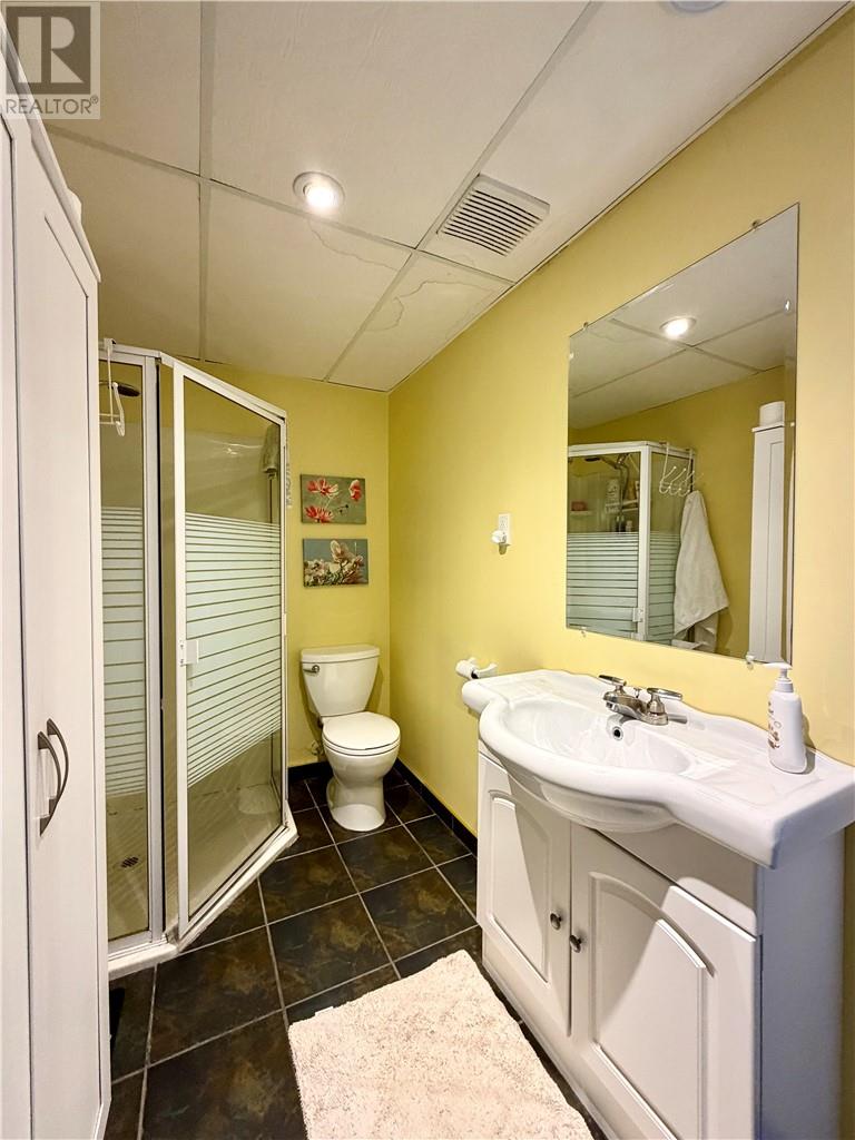 979 Woodbine Avenue, Greater Sudbury, Ontario  P3A 5E3 - Photo 31 - 2128462