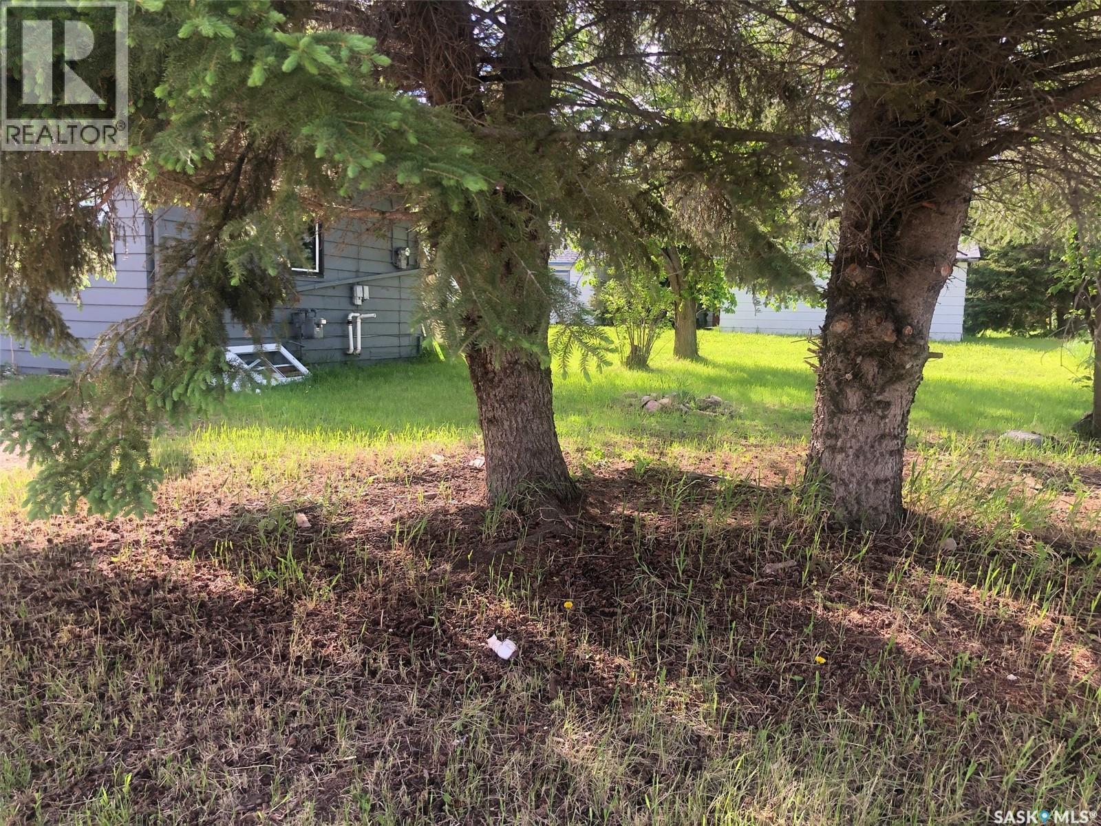 202 1st Avenue Nw, Preeceville, Saskatchewan S0A 3B0 - Photo 48 - SK039100
