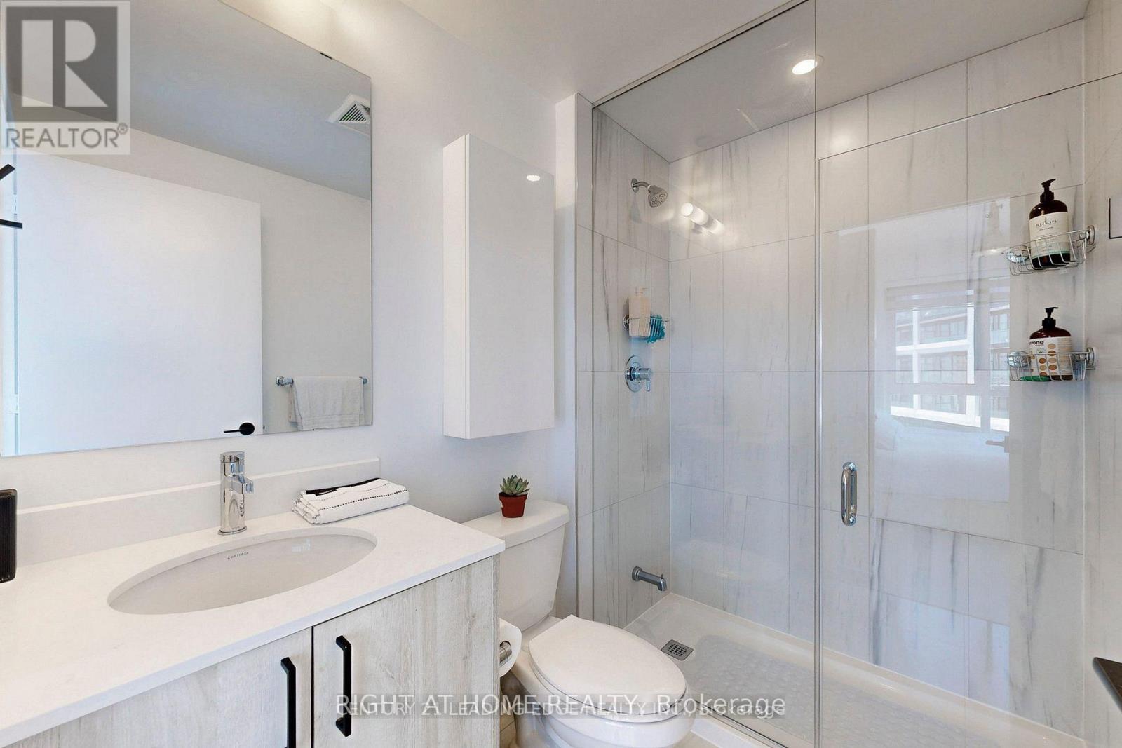 507 - 50 George Butchart Drive, Toronto, Ontario  M3M 2H3 - Photo 17 - W13432740