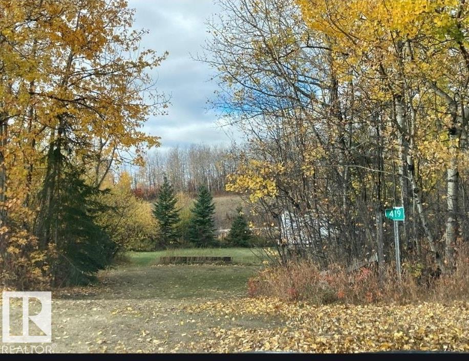 #419 419 60501 Rng Road 120, Rural St. Paul County, Alberta  T0A 3A0 - Photo 15 - E4467868