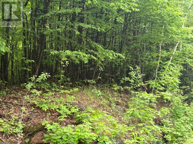 0 Tattersal Road, Dysart Et Al, Ontario K0M 1S0 - Photo 11 - X13431752