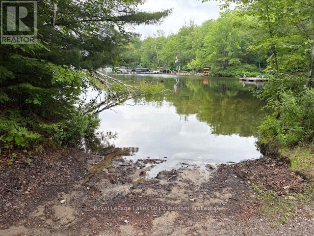 0 Tattersal Road, Dysart Et Al, Ontario K0M 1S0 - Photo 10 - X13431752