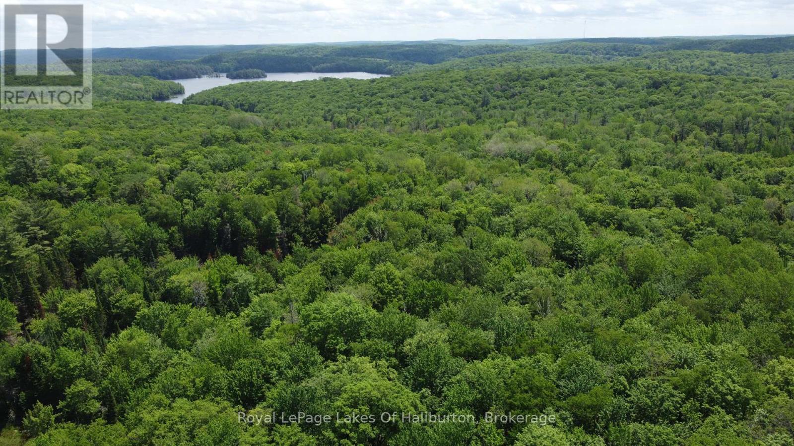 0 Tattersal Road, Dysart Et Al, Ontario  K0M 1S0 - Photo 16 - X13431752