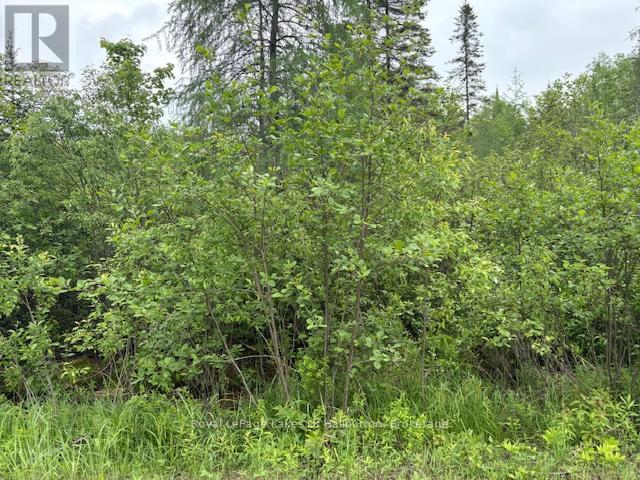 0 Tattersal Road, Dysart Et Al, Ontario K0M 1S0 - Photo 3 - X13431752