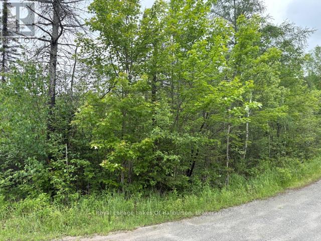 0 Tattersal Road, Dysart Et Al, Ontario K0M 1S0 - Photo 5 - X13431752